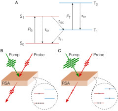 "Reverse Saturable Absorption with Carrier Kinetics" Tutorial Model for Webinar "Modeling Light-Matter Interactions for Photonics Applications"