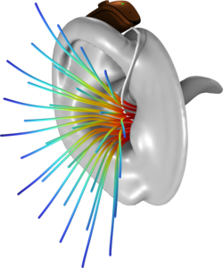 Full Ear Hearing Aid Response