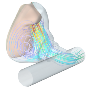 Mass and Heat Transport in an Oxygen Mask