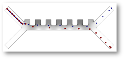 Dielectrophoretic Separation of Platelets from Red Blood Cells