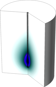 Microwave Heating of a Cancer Tumor