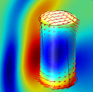 Acoustic&#8211;Structure Interaction