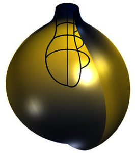 Water Balloon Inflation