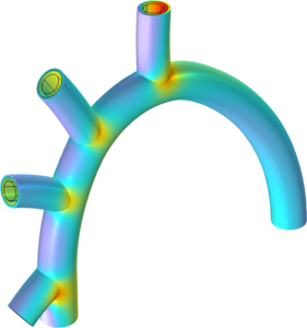 Fluid&#8211;Structure Interaction in a Network of Blood Vessels