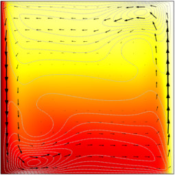 Buoyancy Flow of Free Fluids