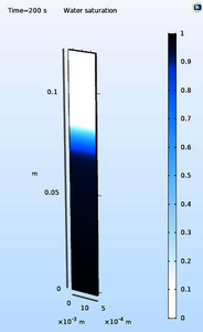 Wicking in a Paper Strip