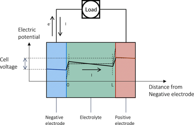 Potential Profile in Batteries and Electrochemical Cells