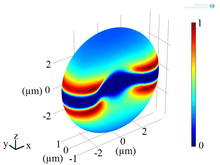 Deformation of Biconcave Red Blood Cell in the Dual-Beam Optical Tweezers