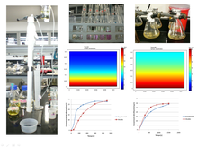 Model of a Heavy Metal Adsorption System using the S-Layer of Bacillus ...