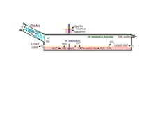 Simulation of the Degradation of Methyl Red by Gliding Arc Plasma