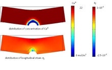 Modeling of Chemo-Mechanical Coupled Behavior of Cement Based Material
