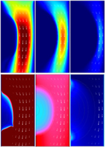 The Soil as Bioreactor: Reaction-diffusion Processes and Biofilms