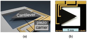Fluid-Structure Interaction Modeling for an Optimized Design of a ...