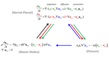 Direct Electrohydrodynamic Simulation of Particle Mobility