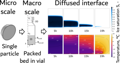 A Multiscale Approach to Simulate Vacuum Drying of a Packed Bed of Spray ...