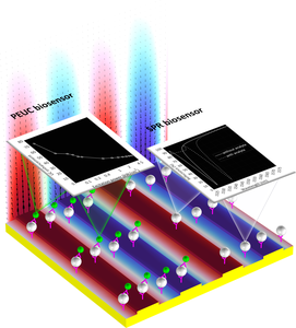 Numerical Simulation-Driven Design of Nanophotonic Biosensors
