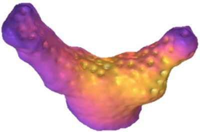 3-D Modeling of Light, Flow, Mass and Heat Transfer in Coral Colonies