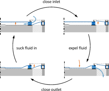 Fully-Coupled Transient Modeling of a Highly Miniaturized Electrostatic ...