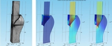 A Multiphysics Approach to the Modeling of Biological Prosthetic Heart ...