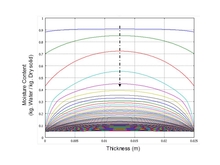 Numerical Simulation of Warm-Air Drying of Mexican Softwood (Pinus ...