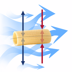Comprehensive analysis of the transport phenomena developing inside a pasta ...