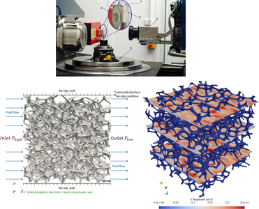 Can poroelasticity predict the response of fluid-impregnated foams to axial ...