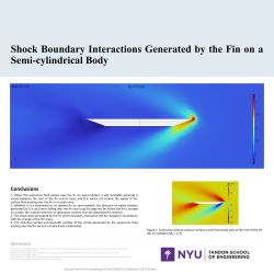 Shock Boundary Interactions Generated by the Fin on a Semi-cylindrical Body