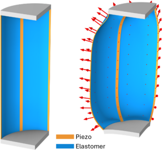Multiphysics Simulation of Piezoelectrically Enhanced Soft Artificial ...