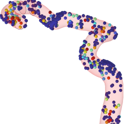 In silico Delivery of ultrasound-sensitive microbubble for repairing the ...