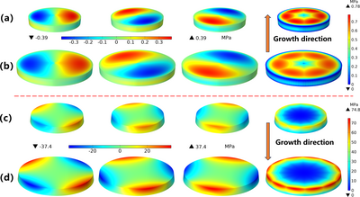 物理气相传输(PVT)法制备4H-SiC单晶热应力及位错滑移建模