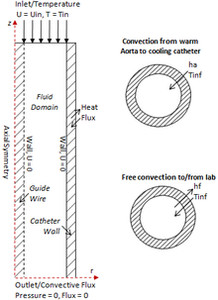 Two Dimensional Blood Shear Modeling in a Blood Cooling Catheter