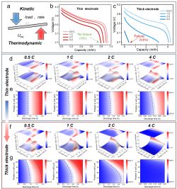动力学热力学耦合下的锂离子电池厚电极设计