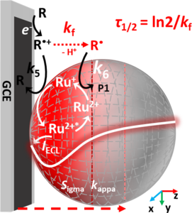 Simulation Mechanism within Co-reactant Electrogenerated Chemiluminescence ...
