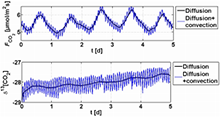 Influence of the Atmospheric Disturbance on the Respiration of a Forest Soil