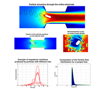 Numerical Prediction of Particle Dynamics Within a Cytometer. Application ...