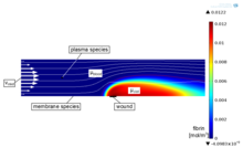 Effects of Flow and Diffusion on Blood Coagulation in Platelet Poor Plasma: ...