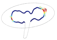 Simulating Organogenesis in COMSOL Multiphysics®: Parameter Optimization ...