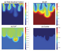 Reactive Transport and Convective Mixing During CO2 Migration in a Saline ...