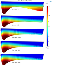 Simulation of the Molten Glass Sheets Flow