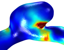 Improving Blood Flow Simulations Using Known Data