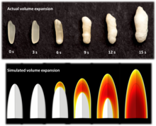 Modeling Flow and Deformation During Salt-Assisted Puffing of Single Rice ...