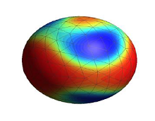 A Model Coupling Water Transport with Local Deformation and Polymer Phase ...