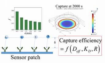 Effect of Area of the Reaction Surface on the Capture Efficiency of ...
