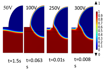Electric Field Assisted Formation of Polymeric Hollow Microstructures