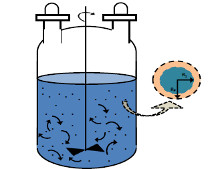 Chemical Reaction Engineering: Difusão com Biotransformação