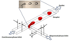 Numerical Investigation Of Non-Newtonian Emulsion Formation At ...