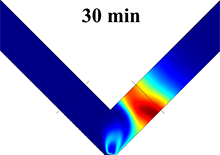 Multiphysics Simulation of Ion Concentration Polarization Induced by ...