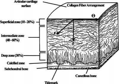 The Spherical Design Algorithm in the Numerical Simulation of Fiber ...