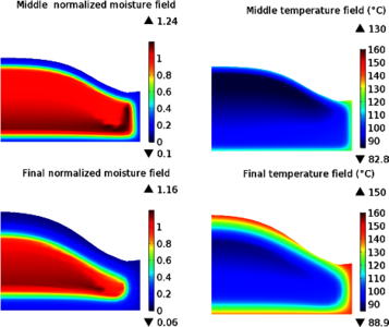 Numerical Model for Predicting Heat and Mass Transfer Phenomena during Cake ...
