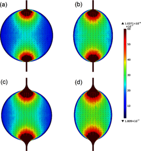 Simulation of an Immunodetection System Based on Magnetic Nanoparticles